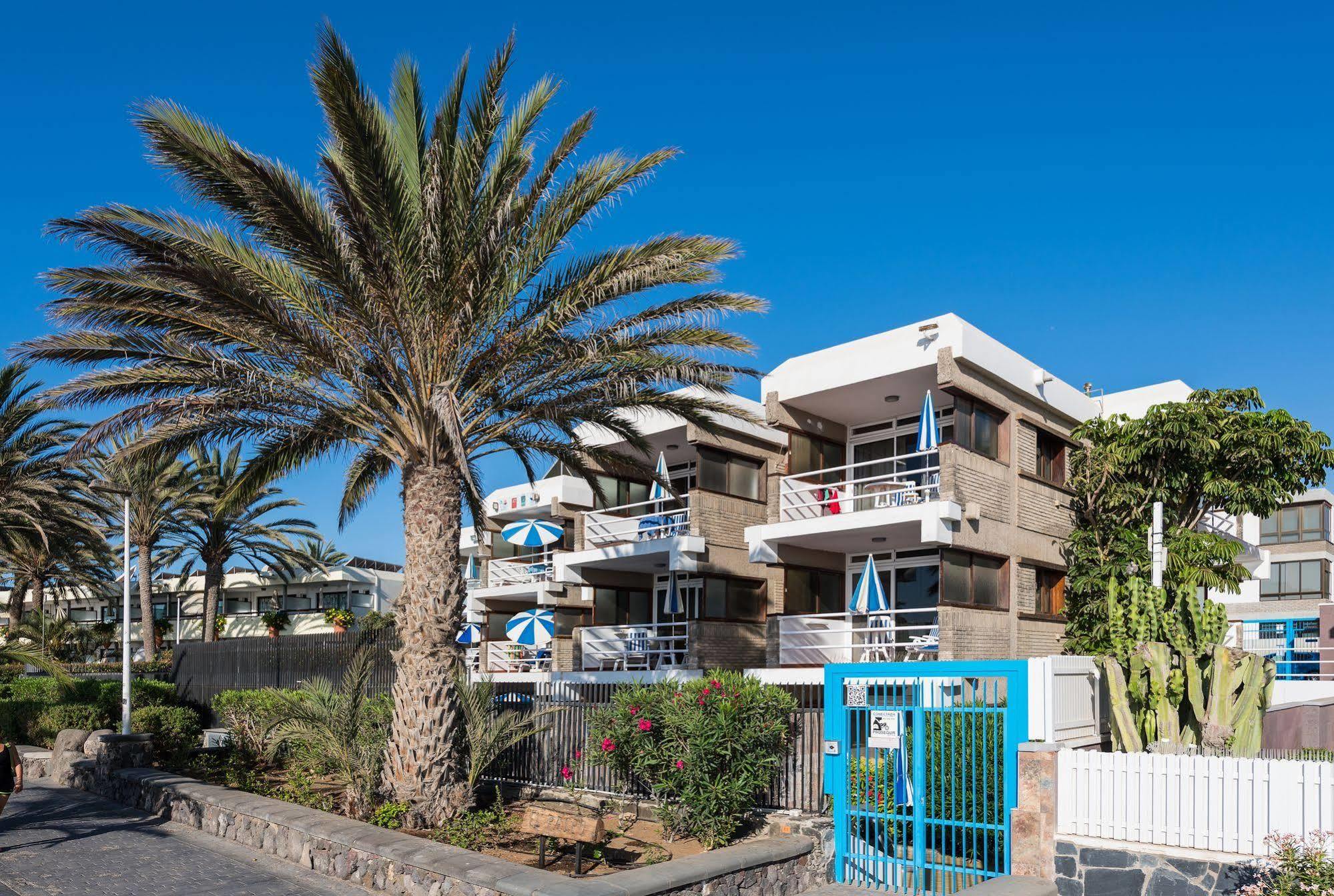 Apartamentos El Paseo Playa del Ingles  Dış mekan fotoğraf